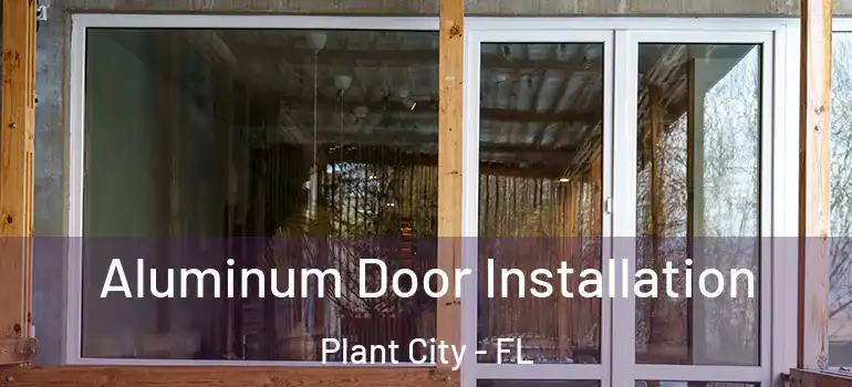 Aluminum Door Installation Plant City - FL