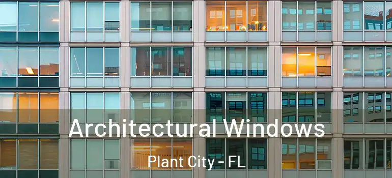 Architectural Windows Plant City - FL