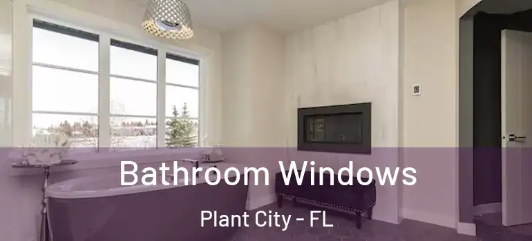 Bathroom Windows Plant City - FL