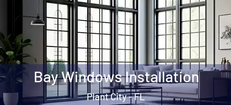 Bay Windows Installation Plant City - FL
