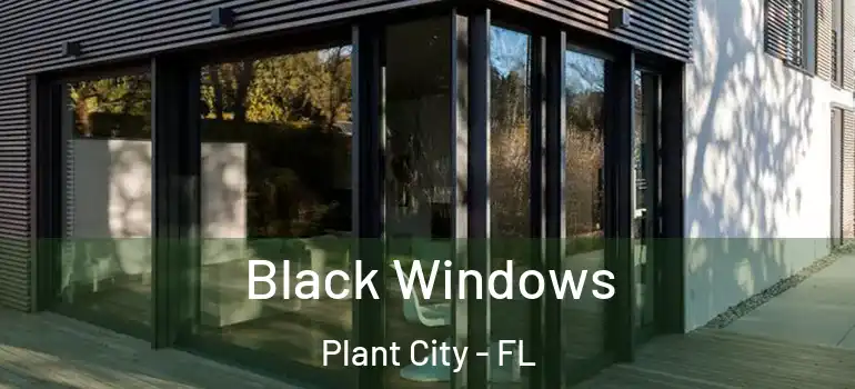 Black Windows Plant City - FL