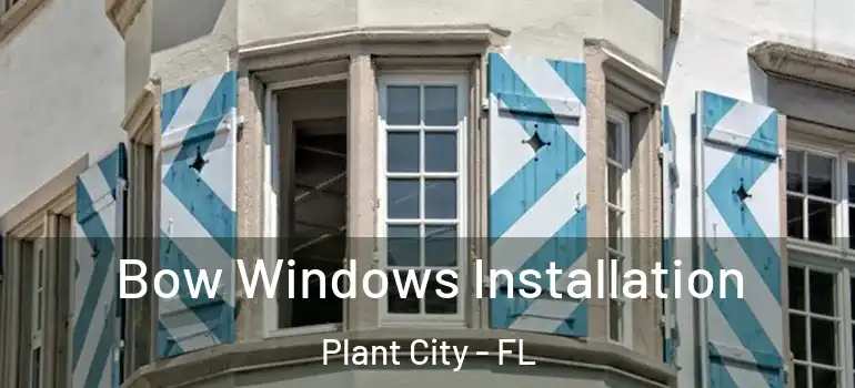 Bow Windows Installation Plant City - FL