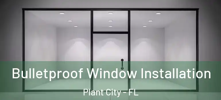 Bulletproof Window Installation Plant City - FL