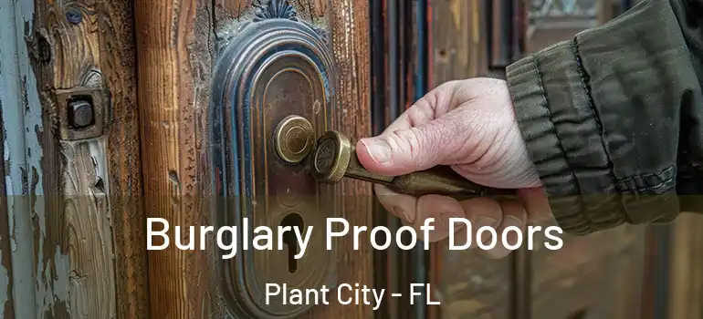 Burglary Proof Doors Plant City - FL