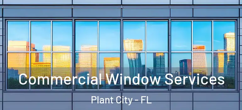 Commercial Window Services Plant City - FL