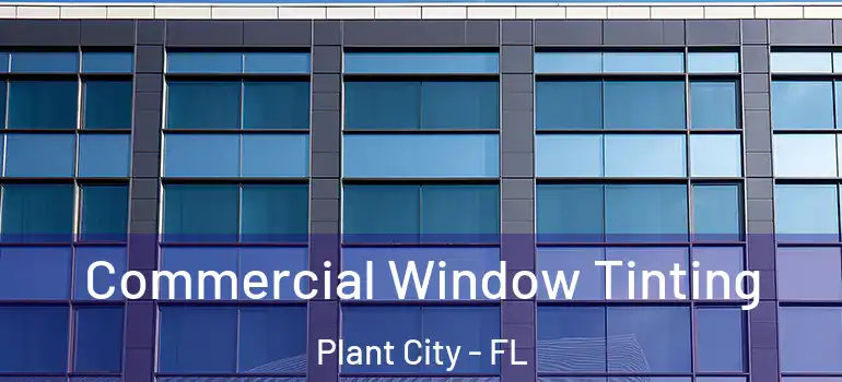 Commercial Window Tinting Plant City - FL