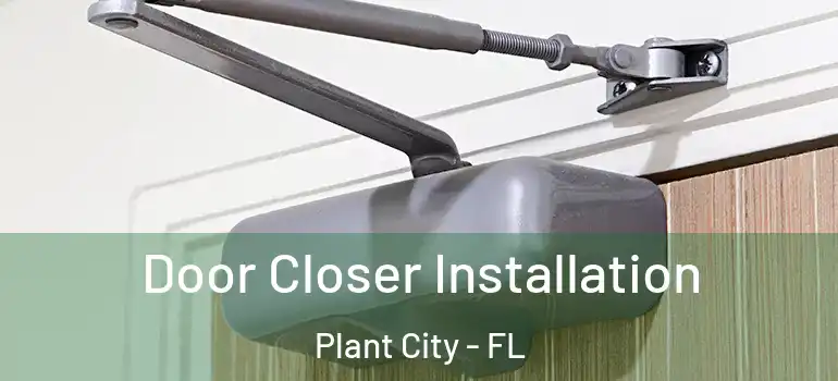 Door Closer Installation Plant City - FL