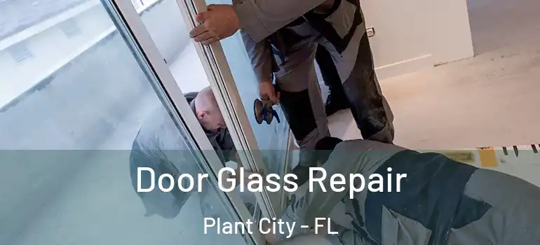 Door Glass Repair Plant City - FL