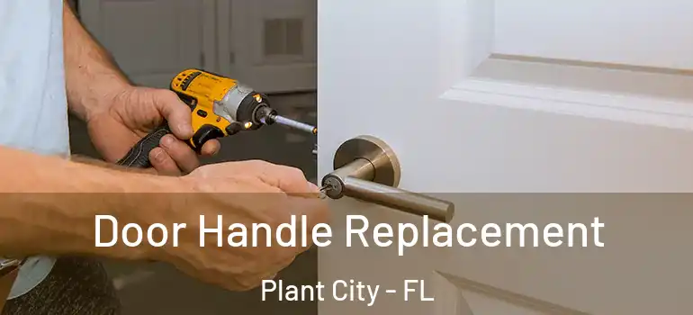 Door Handle Replacement Plant City - FL