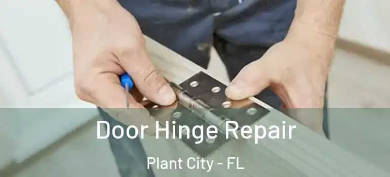 Door Hinge Repair Plant City - FL