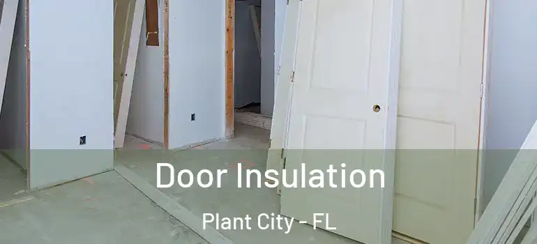 Door Insulation Plant City - FL