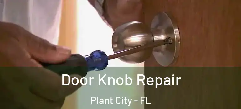 Door Knob Repair Plant City - FL