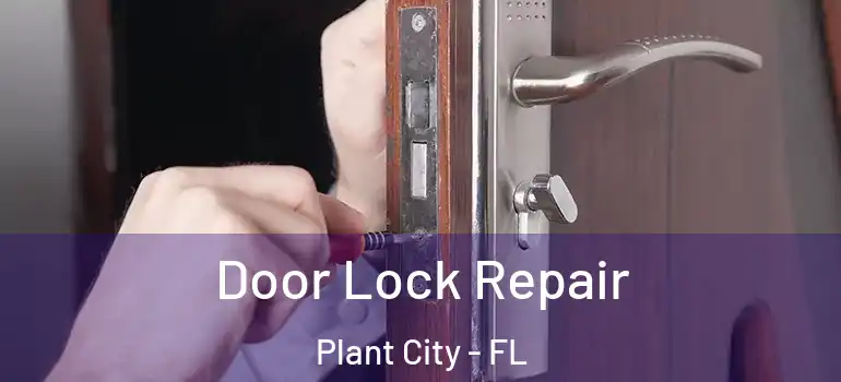 Door Lock Repair Plant City - FL
