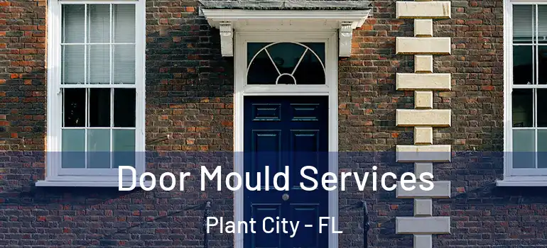 Door Mould Services Plant City - FL