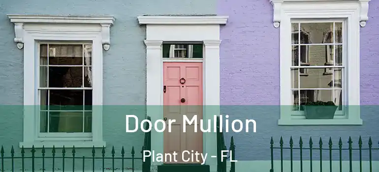 Door Mullion Plant City - FL