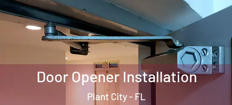 Door Opener Installation Plant City - FL