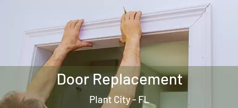 Door Replacement Plant City - FL