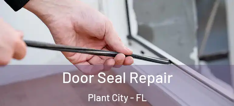 Door Seal Repair Plant City - FL