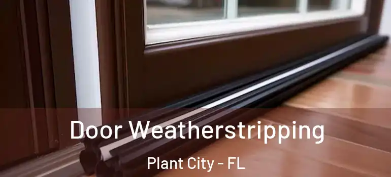 Door Weatherstripping Plant City - FL