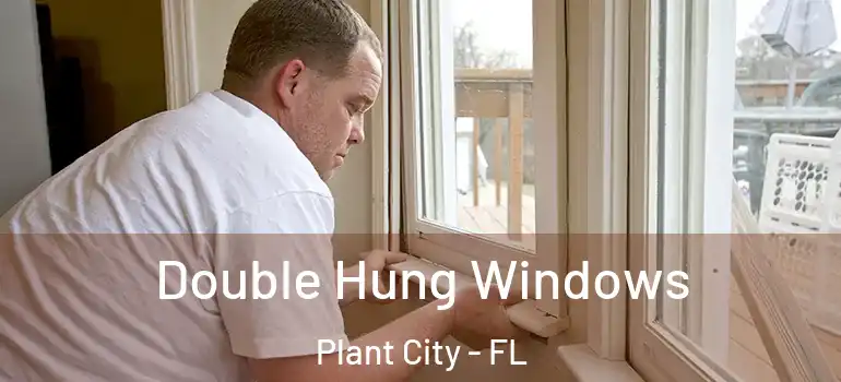 Double Hung Windows Plant City - FL
