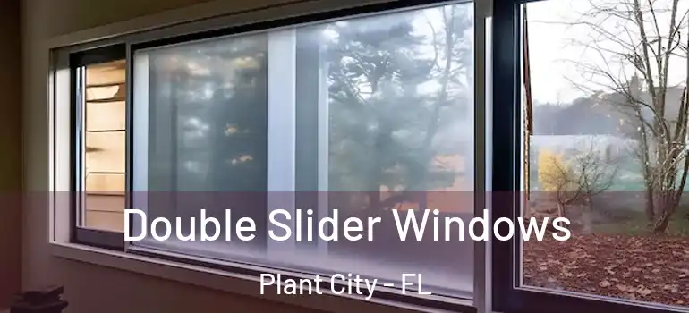 Double Slider Windows Plant City - FL