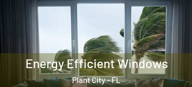 Energy Efficient Windows Plant City - FL