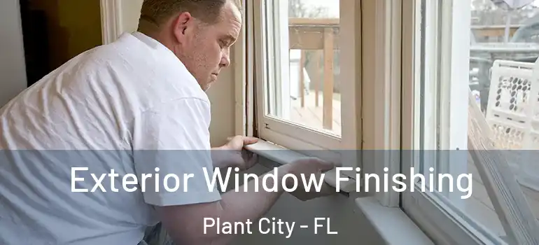 Exterior Window Finishing Plant City - FL