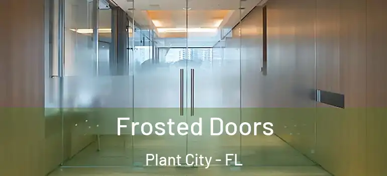 Frosted Doors Plant City - FL