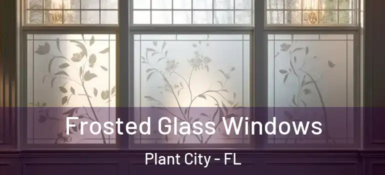 Frosted Glass Windows Plant City - FL