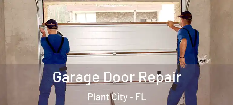 Garage Door Repair Plant City - FL