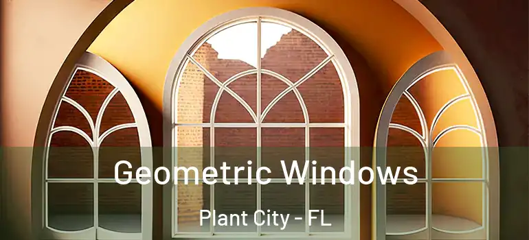 Geometric Windows Plant City - FL