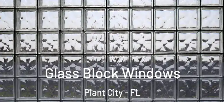 Glass Block Windows Plant City - FL