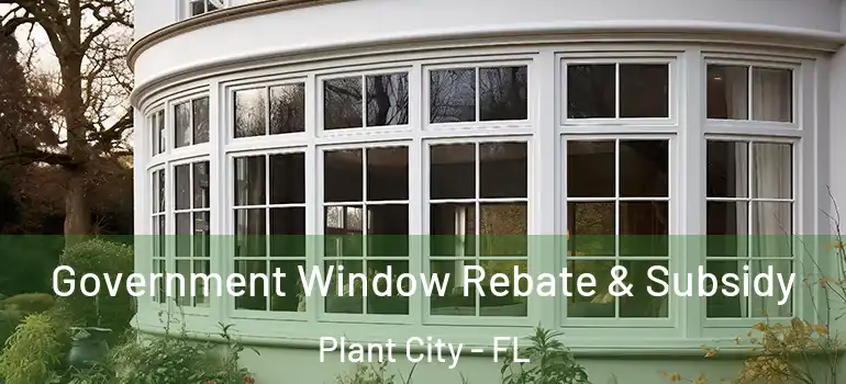 Government Window Rebate & Subsidy Plant City - FL