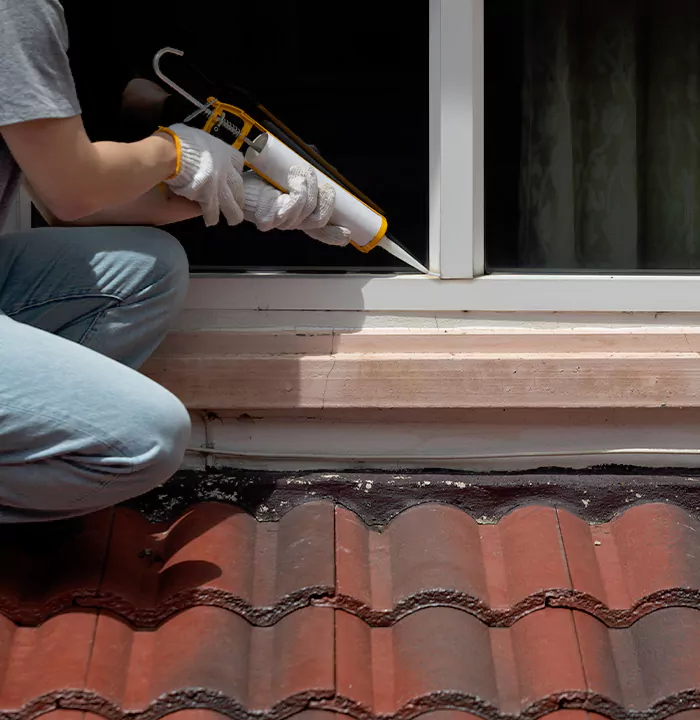 Roof Window Services in Plant City, Florida