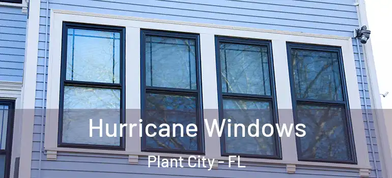 Hurricane Windows Plant City - FL