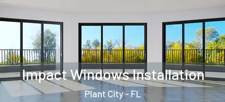 Impact Windows Installation Plant City - FL