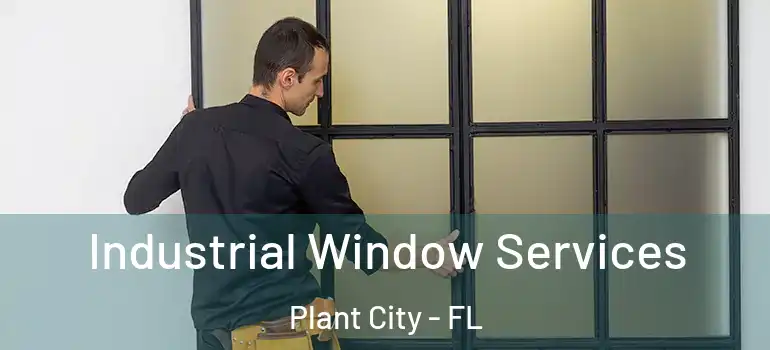 Industrial Window Services Plant City - FL