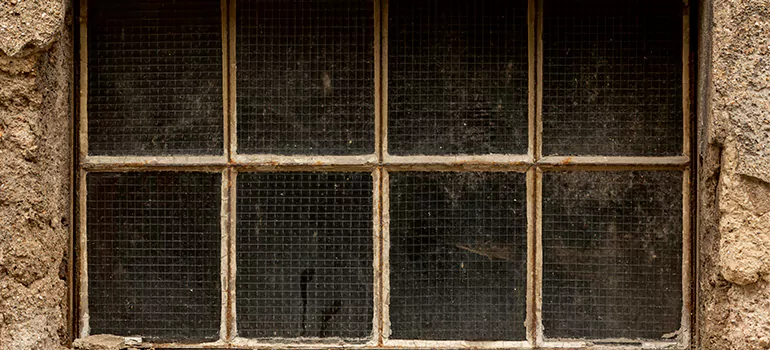 Traditional Double Front Doors in Plant City, FL