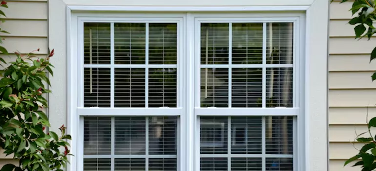 Custom Double Hung Windows in Plant City, FL