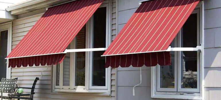 Government Rebate Window Replacement in Plant City, FL