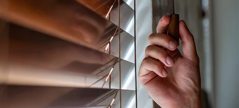 Double Roller Blinds in Plant City, FL