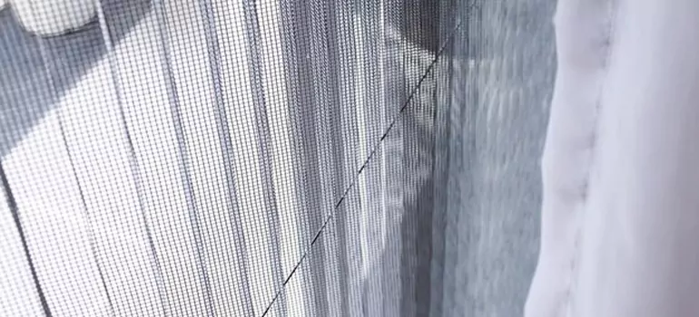 Fixing Screen Window Mesh in Plant City, FL