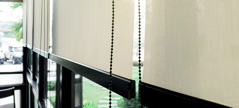 Blackout Window Shades in Plant City, FL