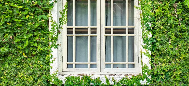 Garden Window Repair Near Me in Plant City, FL