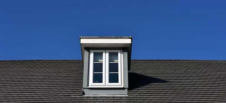 Roof Window Installation in Plant City, FL