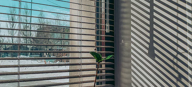Commercial Window Blinds in Plant City, FL