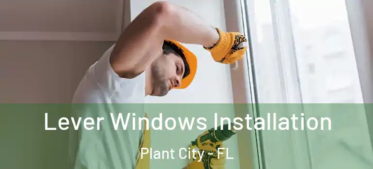 Lever Windows Installation Plant City - FL