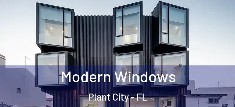 Modern Windows Plant City - FL