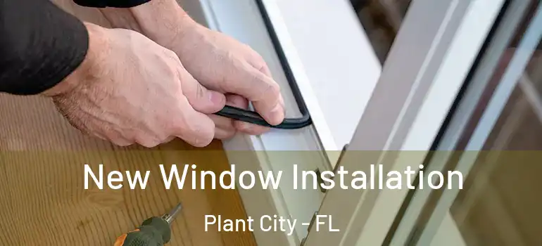 New Window Installation Plant City - FL
