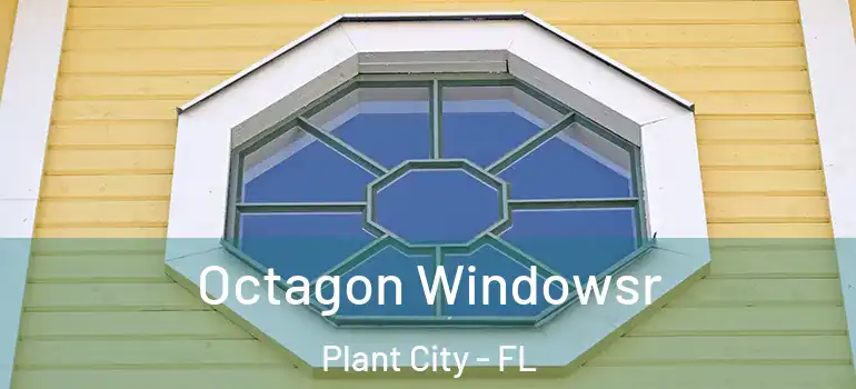 Octagon Windowsr Plant City - FL